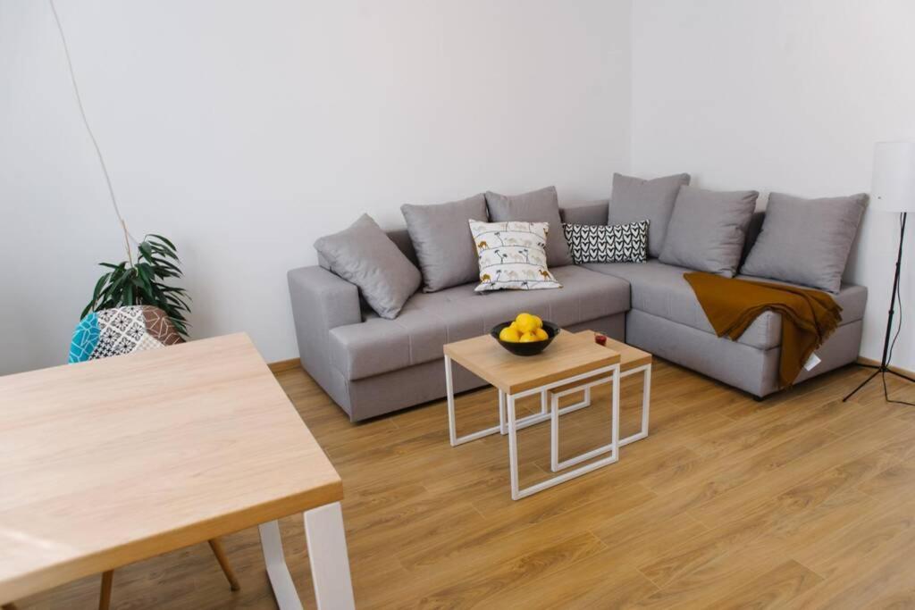 Millennium Bridge Cozy Apartment Top Location Podgorica Eksteriør billede